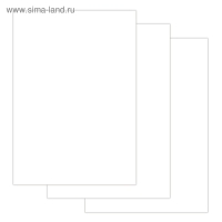 Папка для черчения А4, 24 листа, 200 г/м, BRAUBERG, без рамки, ватман ГОЗНАК КБФ