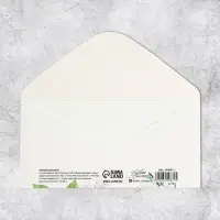 Конверт для денег &laquo;С Днем Рождения&raquo;, нежные цветы, частичный УФ-лак, 16,5 &times; 8 см