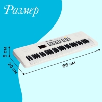 Синтезатор детский &laquo;Клавишник&raquo;, звуковые эффекты, 61 клавиша