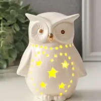 Сувенир керамика свет "Филин в звёздочках" белый 10,5х8х12,5 см