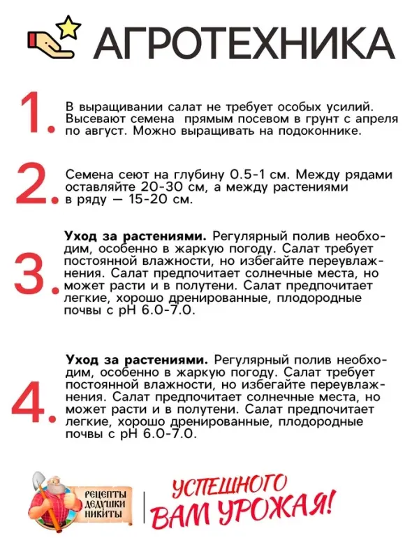 Семена Салат "Букет", 0,5 г