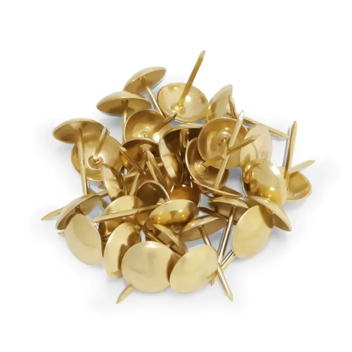 Гвозди ТУНДРА, декоративные, обивочные, 10&times;18.5 мм, золото, 100 шт.