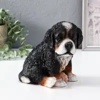Копилка  Щенок Зенненхаунда Берни Высота 17*13*18 см