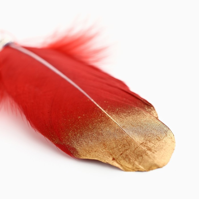 Родословная новогодняя книга с пером в шкатулке &laquo;Новый год: Сказочного нового года&raquo;, 26 х 8 х 27 см, набор