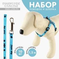 Комплект &laquo;Дай пять&raquo;, шлейка 26-39 см, поводок 120х1 см