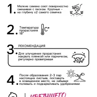 Семена Наперстянка Пурпурная Глоксиния 0.1г*