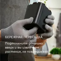 Горшок для рассады, 700 мл, d=9 см, h=11 см, пластик, чёрный, Greengo