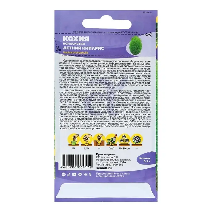 Семена цветов Кохия &laquo;Летний Кипарис&raquo;, 0.2 г, &laquo;Семена Алтая&raquo;
