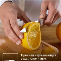 Кухонный нож для овощей K1700574 9 см, серебристый