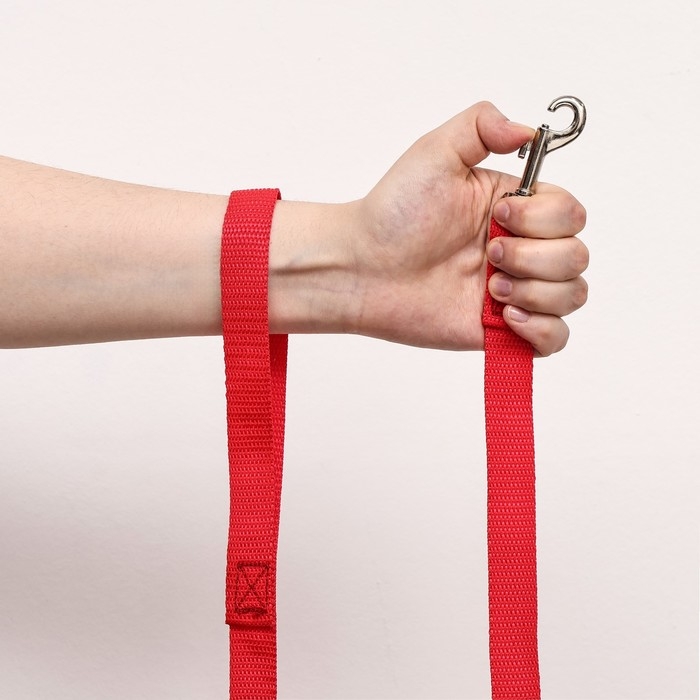 Поводок капроновый цветной Зооник, 3 м х 2 см, микс цветов Поводок капроновый цветной Зооник, 3 м х 2 см, микс цветов