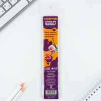 Кисть для рисования набор 3 шт. пони №1, №3, щетина №1 для школы