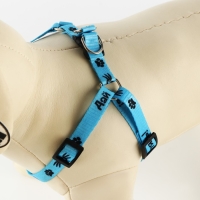 Комплект &laquo;Дай пять&raquo;, шлейка 26-39 см, поводок 120х1 см