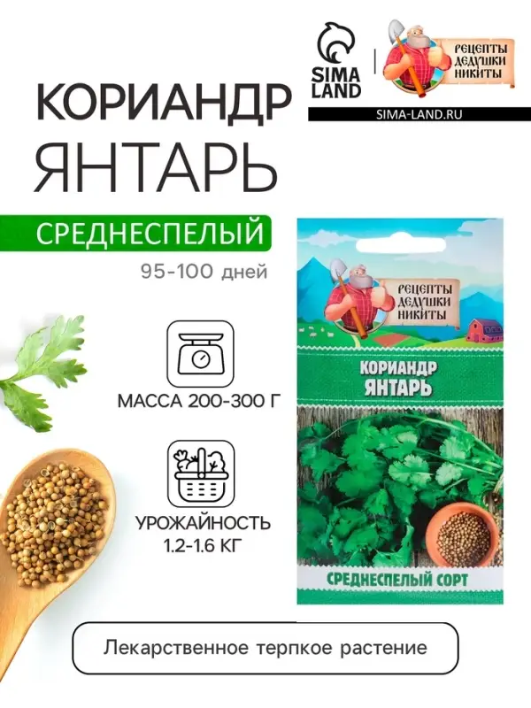 Семена Кориандр "Янтарь", 5 г