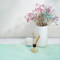 Коврик противоскользящий Доляна &laquo;Круги&raquo;, 30&times;150 см, цвет прозрачный зелёный