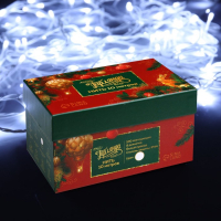 Гирлянда &laquo;Нить&raquo; 10 м, IP44, белая нить, 100 LED, свечение белое, 8 режимов, 220 В