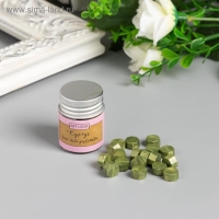 Сургуч в гранулах в баночке "Восьмигранник" спаржа 9 гр 4,5х3х3 см Сургуч в гранулах в баночке "Восьмигранник" спаржа 9 гр 4,5х3х3 см