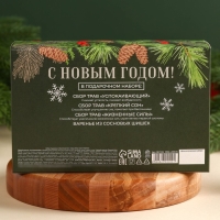 Подарочный набор &laquo;Новый год:Здоровья и благополучия&raquo;: сбор трав 3 шт. х 20 г., варенье из сосновых шишек 100 мл.