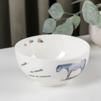 Салатник &laquo;Ёжик в тумане&raquo;, 610 мл, d=14 см