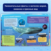 Энциклопедия в твёрдом переплёте &laquo;Подводный мир&raquo;, 48 стр.