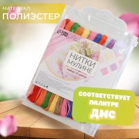 Набор ниток мулине №17, 8 ± 1 м, 12 шт Набор ниток мулине №17, 8 ± 1 м, 12 шт