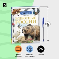 Детская энциклопедия &laquo;Животные России&raquo;