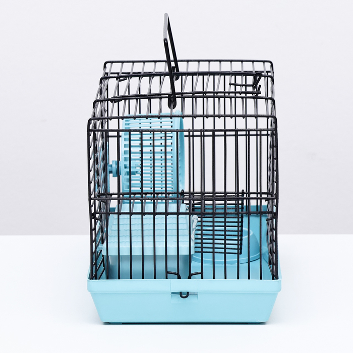 Клетка-мини для грызунов Клетка-мини для грызунов "Пижон" №2, укомплектованная, 27 х 15 х 16 см, бирюзовая