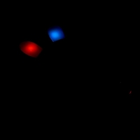 Игровой набор «Зайчик»: микрофон, наушники с ушками Игровой набор «Зайчик»: микрофон, наушники с ушками