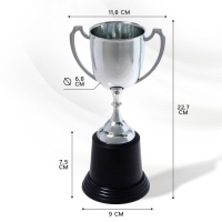 Кубок 036В, наградная фигура, серебро, подставка пластик, 22,7 &times; 11,8 &times; 9 см.