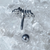 Пирсинг в ухо (хеликс) &laquo;Листья&raquo;, L=1,4см, цвет белый в серебре