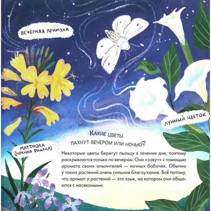 Книжка &laquo;Где моя звёздочка?&raquo;, Мироненко А.