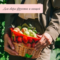 Ёмкость для сбора ягод, 3 л, &laquo;Вишня&raquo;, белая