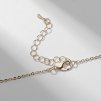 Кулон &laquo;Прелесть&raquo; самолёт, цветной в золоте, 40 см