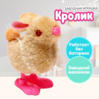 Игрушка заводная &laquo;Кролик&raquo;, цвета МИКС