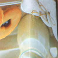 Клеёнка на стол на нетканой основе Доляна &laquo;Кофе&raquo;, ширина 140 см, рулон 20 м