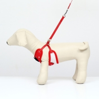 Комплект с мягкой шлейкой и бантиком "Якорь", размер S, поводок 120 x 1,5 см, ОГ 23-42 см, красный Комплект с мягкой шлейкой и бантиком "Якорь", размер S, поводок 120 x 1,5 см, ОГ 23-42 см, красный