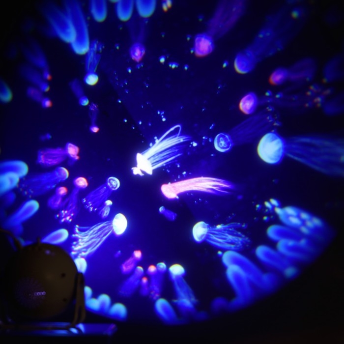 Световой прибор &laquo;Космос&raquo;, 11 см, 6 картриджей, свечение RGB, 5 В