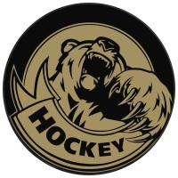 Шайба хоккейная Winter Star, взрослая, d=7,6 см