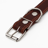 Ошейник кожаный на синтепоне, 65 х 3 см, ОШ 40-55 см, коричневый Ошейник кожаный на синтепоне, 65 х 3 см, ОШ 40-55 см, коричневый