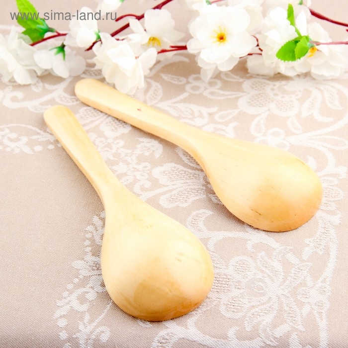 Ложка салатная, покрытая лаком, 6&times;21 см