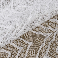Кружевная эластичная ткань, 210 мм × 2,7 ± 0,5 м, цвет белый Кружевная эластичная ткань, 210 мм × 2,7 ± 0,5 м, цвет белый