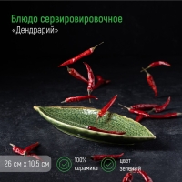 Блюдо керамическое сервировочное &laquo;Дендрарий&raquo;, 26&times;10,5&times;1,5 см, цвет зелёный