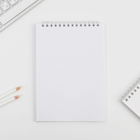 Скетчбук &laquo;Кот&raquo; А5, 40 л, 100 г/м