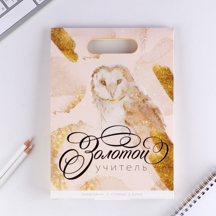 Подарочный набор &laquo;Золотой учитель&raquo;: ежедневник А5, 80 листов, стикеры и ручка шариковая, синяя паста