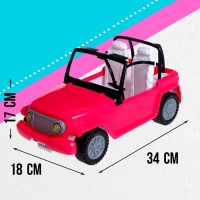 Набор кукол &laquo;Семья&raquo; на машине