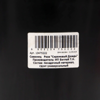 Саженец Розы "Сиреневый Дождь", Горшок С4 Лето 2024 Саженец Розы "Сиреневый Дождь", Горшок С4 Лето 2024