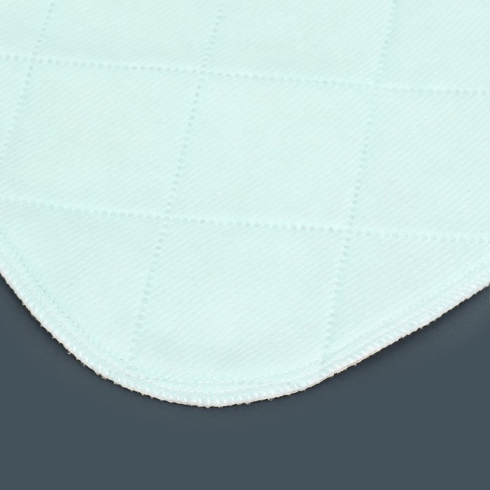 Пелёнка для животных многоразовая впитывающая, 60 х 50 см, мятная Пелёнка для животных многоразовая впитывающая, 60 х 50 см, мятная