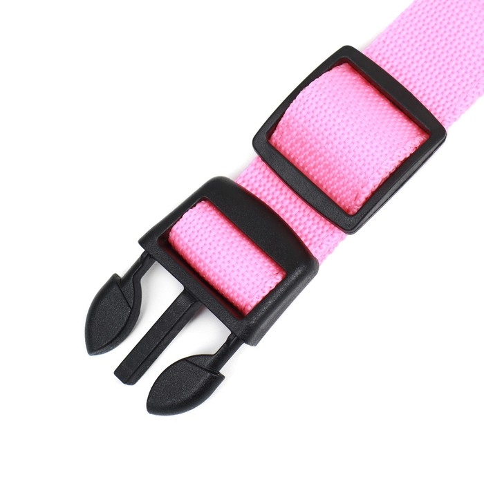 Ошейник с подсветкой Двойная полоса размер М, ОШ 40-48 х 2,5 см 3 режима свечения розовый Ошейник с подсветкой Двойная полоса размер М, ОШ 40-48 х 2,5 см 3 режима свечения розовый