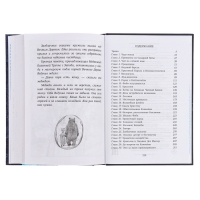 Хроники небесных лошадок. Стражники магии. Ридделл К. Хроники небесных лошадок. Стражники магии. Ридделл К.