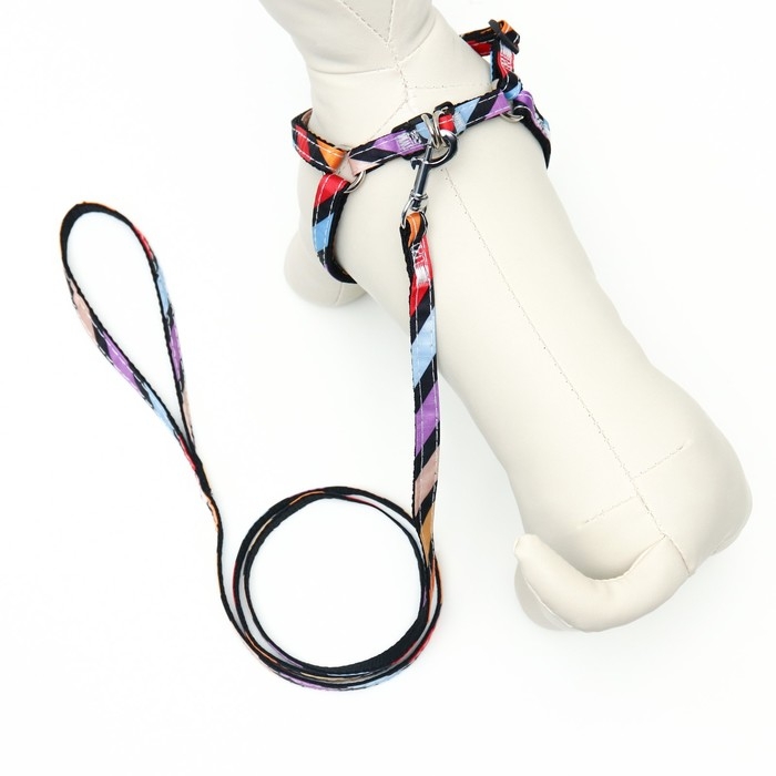 Комплект амуниции двухслойный, S, поводок 120х1 см,ОШ 24-38 ОГ 29-41 см, разноцветные полосы   96837