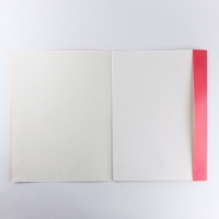 Бумага для акварели А3, 10 л., 200 г/м2 "Дали" Бумага для акварели А3, 10 л., 200 г/м2 "Дали"